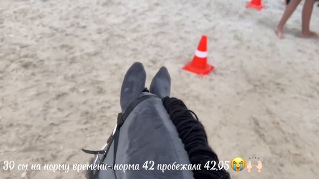 Соревнования по хоббихорсингу|ФХР 1этап| Maxero
