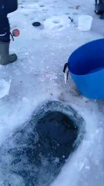 запуск форели смотреть онлайн
