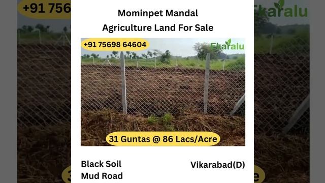 31 Guntas Farmland For Sale|