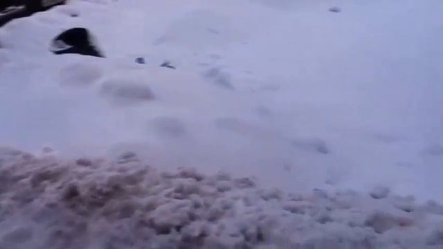 Медвежий угол Подольска смотреть онлайн