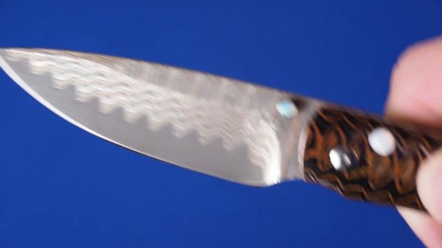 НОЖ WILLIAM HENRY B09 MOKUME & PEARL USA смотреть онлайн