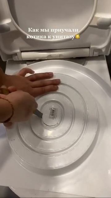 Как приучить кошку к унитазу смотреть онлайн