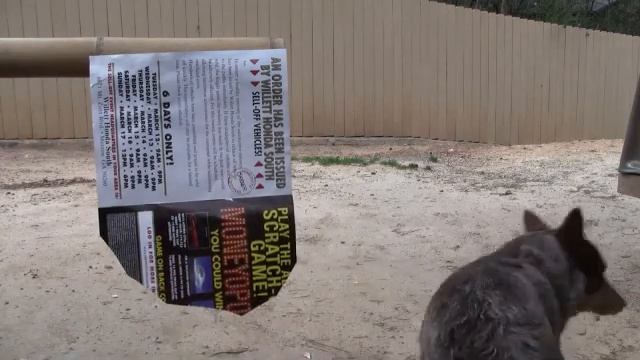 Cold Steel Heavy Machete Mod sharpness test смотреть онлайн