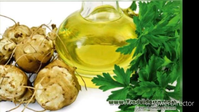 Topinambur o simligi qayerdan kelgan HD смотреть онлайн