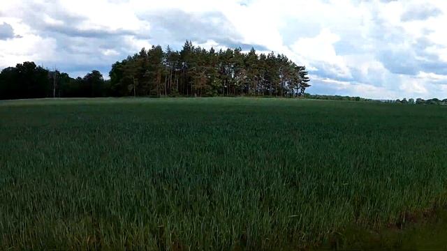 Wyprawa Wśród Pól I Lasów Owies Zaskoczył Mile Ale I Kwiaty Bzu