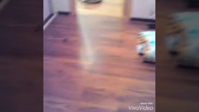 Магическая уборка/:-) смотреть онлайн
