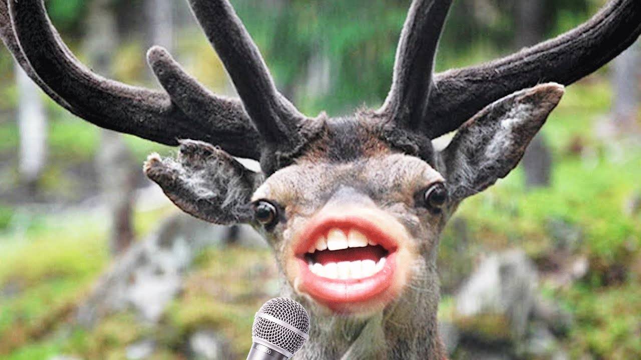 Как такое мужчины могут прощать женщинам, тем самым показывая свою слабость? смотреть онлайн