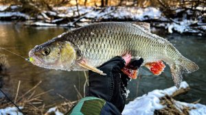 СТАВЛЮ ЭТУ МАЛЕНЬКУЮ ПРИМАНКУ И ЛОВЛЮ БОНУСНЫХ РЫБ / ПЕРВАЯ ВЕСЕННЯЯ РЫБАЛКА НА СПИННИНГ
