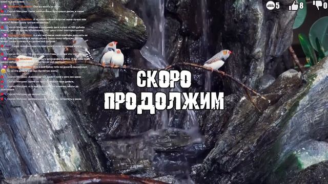 [PS4] MK11 ULTIMATE - Турнир SYSTEM OF MASH уже в эту субботу смотреть онлайн