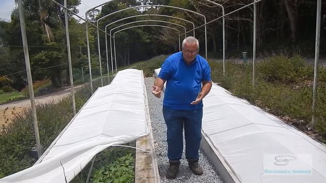Estação de Tratamento de esgotos com plantas aquáticas смотреть онлайн