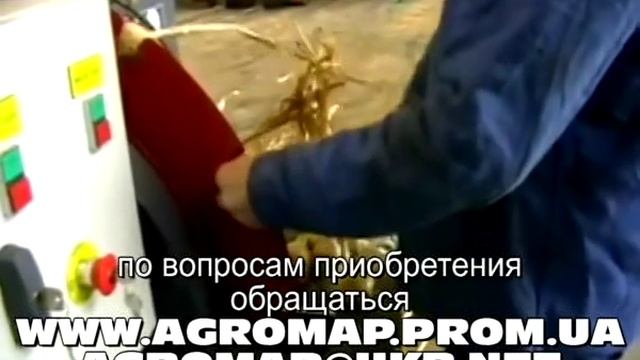 Обрезка ботвы чеснока смотреть онлайн