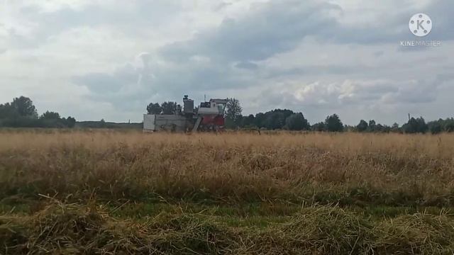 Уборка пшеницы #6 смотреть онлайн