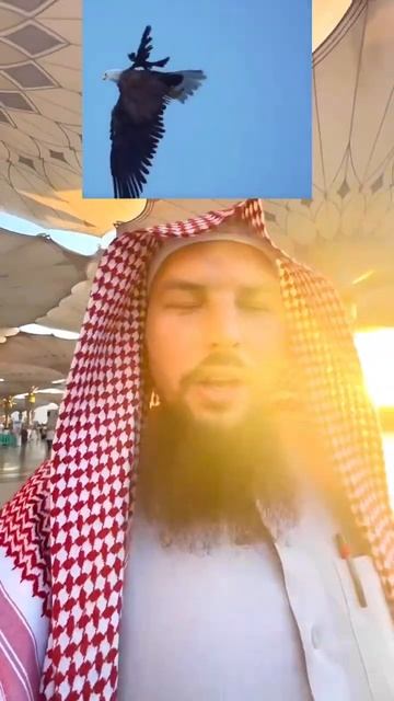 История об орле и вороне🦅 #помощь #вред #польза #совет #бизнес #ислам ##мусульмане смотреть онлайн