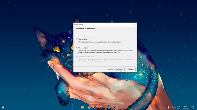 PET Ensina | Interfaces Gráficas no WSL смотреть онлайн