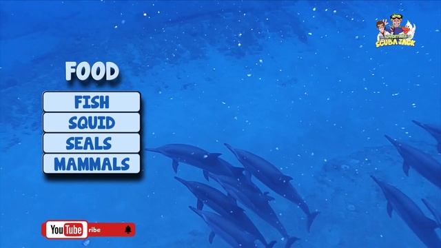 Dolphins: The Ocean's Most Majestic Creatures смотреть онлайн