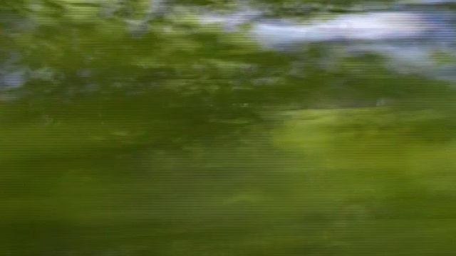 SDV_0069 смотреть онлайн