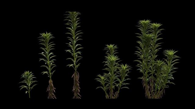 Tutorial: Cinematic Nature Scene Creation In 3ds Max And Maya