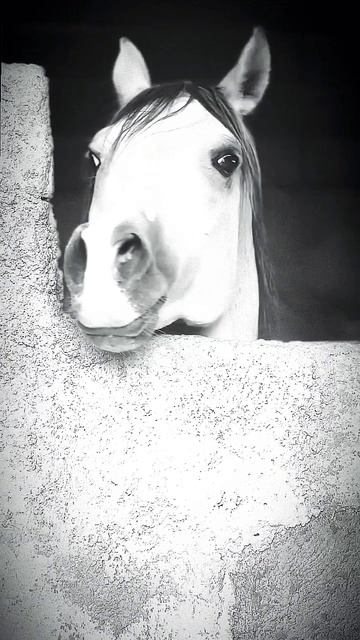 5 августа 2024 г. смотреть онлайн