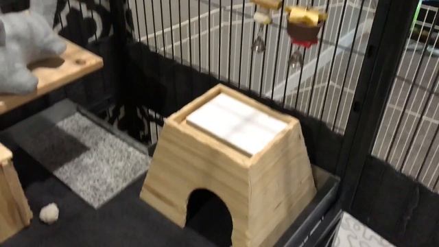 Chinchilla Cage Tour