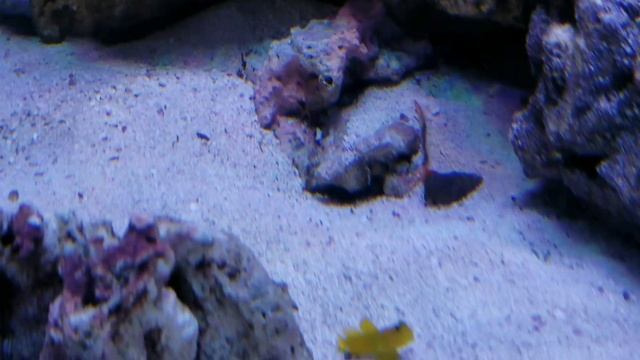 Fire worm смотреть онлайн