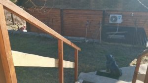 СОЧИ ГОРНОЕ ЛОО УТРО 08.03.2025