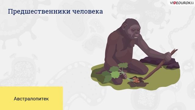 33. Гипотезы происхождения человека. Расы человека смотреть онлайн