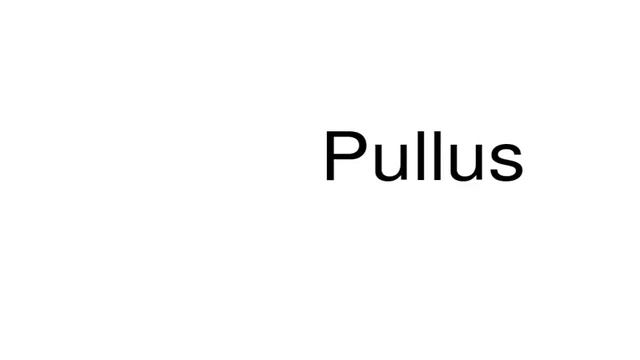 How to pronounce Pullus смотреть онлайн
