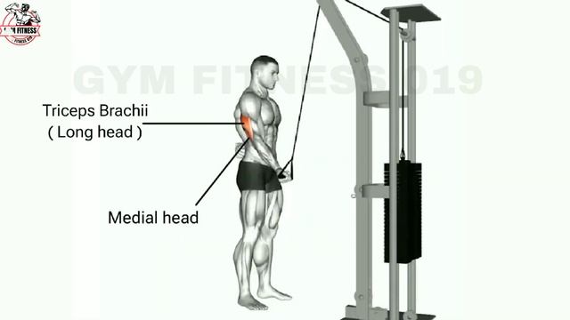 6 Exercise For Bigger Triceps | Bigger Triceps | Best Triceps смотреть онлайн