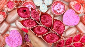 March 8th!🌹💐☀️Asmr