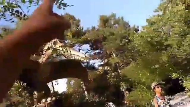 VLOG Крым|Дино-парк 🐲 смотреть онлайн