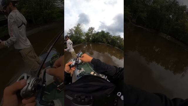 SHE hooked a GIANT FISH!!! (Part 2) 😱😱 #fishing #outdoors #shorts смотреть онлайн