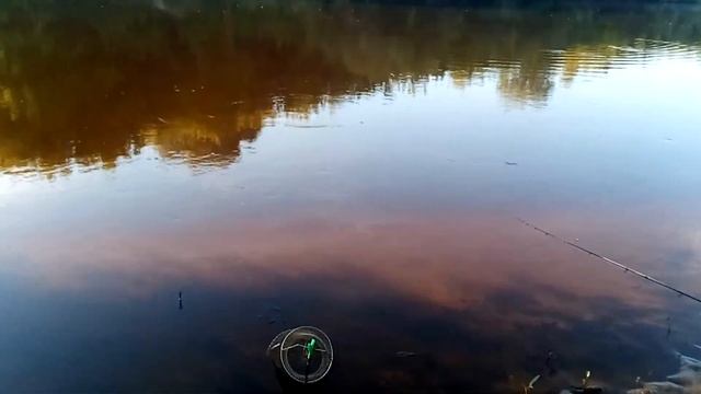 рыбалка на фидер на десне смотреть онлайн