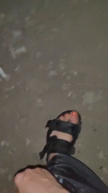 📍Ростов-на-Дону❗️Котёнку нужен дом. Маленькая трехцветная девочка, возраст 4 месяца