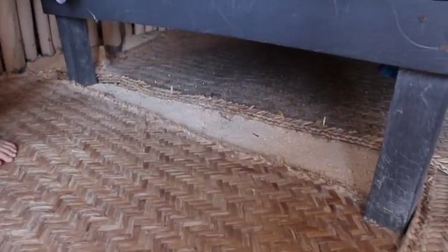 Telly Tuesday: Tulum Papaya Playa Project смотреть онлайн