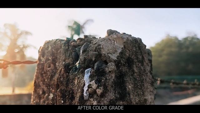 HOW TO USE MAIN LENS & ULTRA WIDE ANGLE LENS | CINEMATIC SHOTS WITH MOBILE CAMERA IN HINDI смотреть онлайн