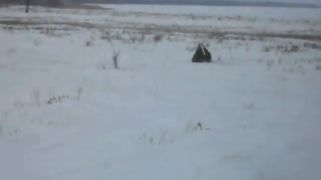SDC10482 смотреть онлайн