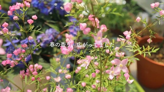 【暮らしのvlog】 キッチンをもっと楽しく｜捨てられそうだった廃材をキッチンテーブルに利用｜DIYをして過ごす休日｜捨てない暮らし смотреть онлайн