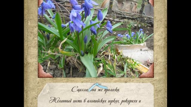 Записки дачницы "Работа на участке" смотреть онлайн