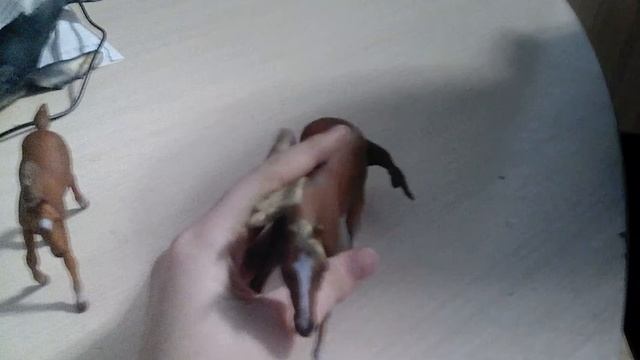 Распаковки и шокирующие новости о лошадях Collecta