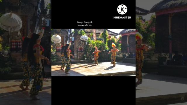 Barong Dance #shorts #short #Bali #indonesia #pondicherry #barong #dance #traditional #culture смотреть онлайн