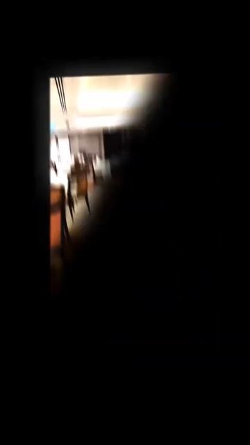 Wah Lok Cantonese Restaurant at Carlton Hotel Robot Automation смотреть онлайн
