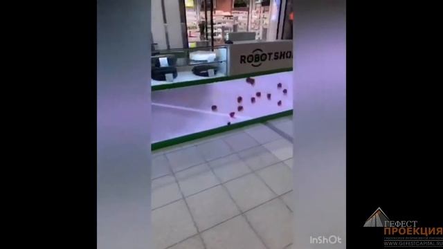 Разработка анимированного контента смотреть онлайн