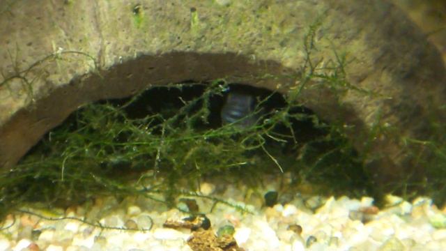 20111202160940.m2ts смотреть онлайн