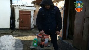 Искореняющая обработка сада | Обработка сада фундука от болезней и вредителей