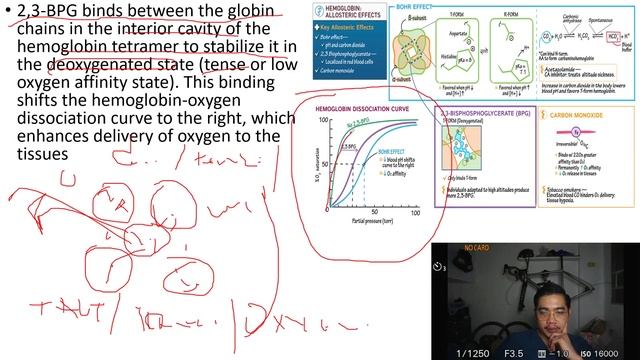 Red Cell Metabolism смотреть онлайн