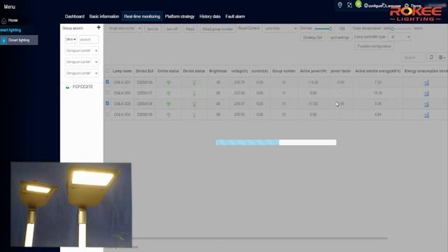 2024 ROKEE IOT LED STREET LIGHT SYSTEM-Smart City Lighting Solution смотреть онлайн