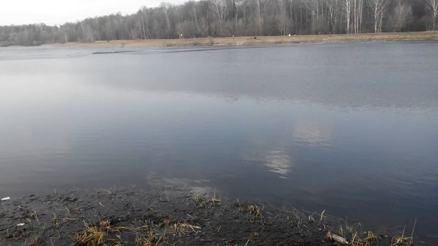 Открытая вода на Лебедянке