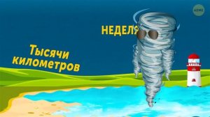 Ураган, смерч, циклон – в чем разница (ГИРДБОД, ТУФОН )
