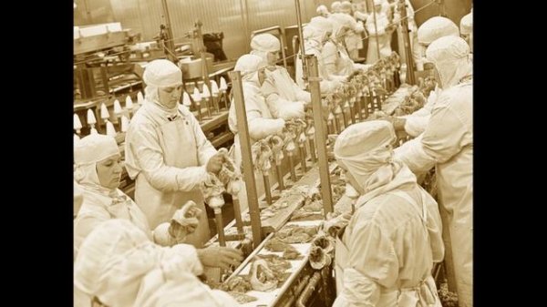 POLSHADAGI TOP 5 ENG YOMON ISHLAR { polsha haqida malumot }