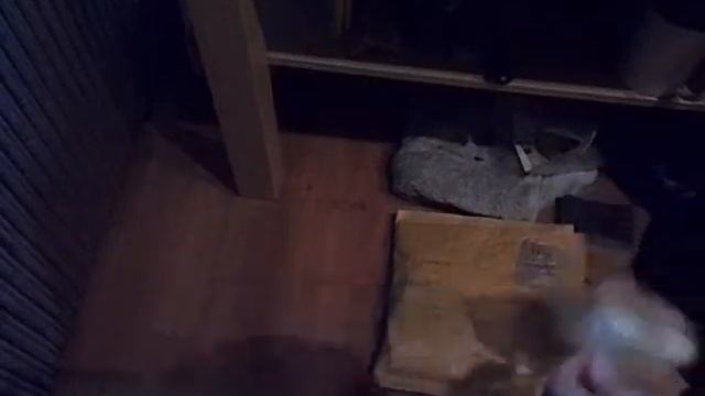 32. Clea helena (Assassin snails) смотреть онлайн